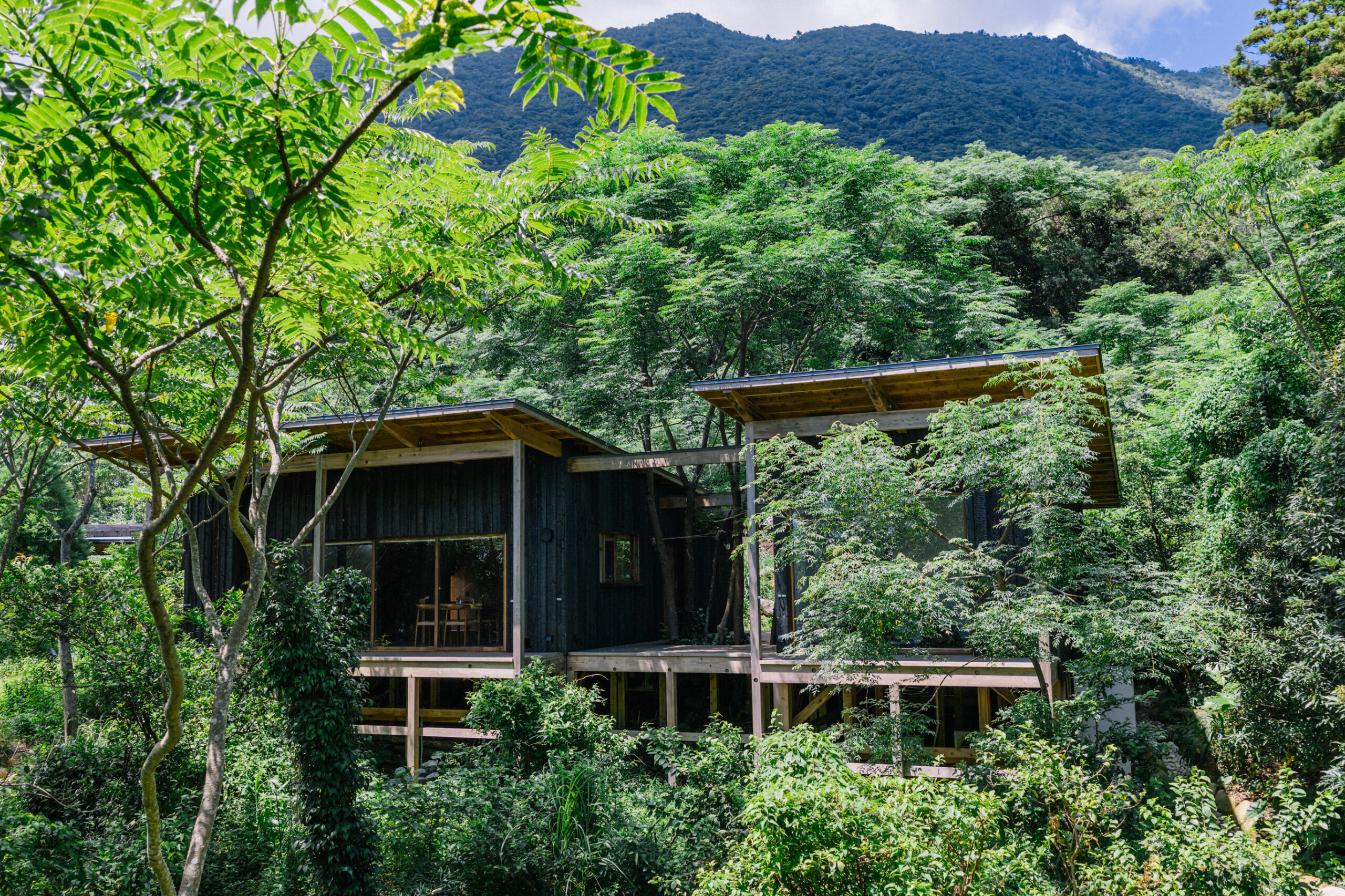 Regenerative Vegan House｜建築の記録撮影